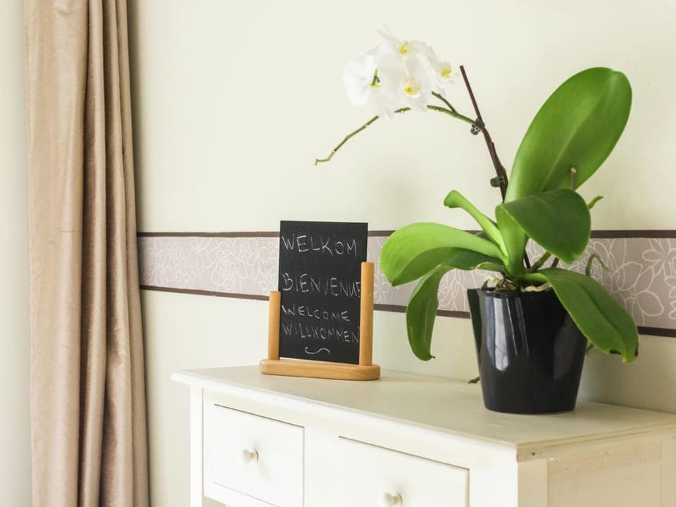 House | Interior detail