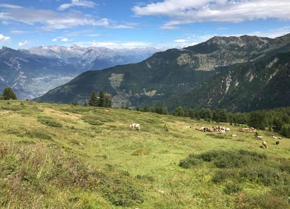 Apartment | View from property