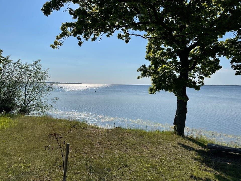 Bungalow | View from property