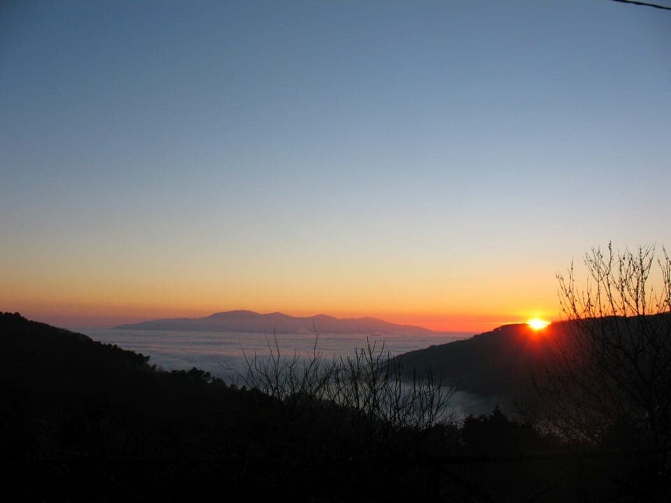 House | View from property