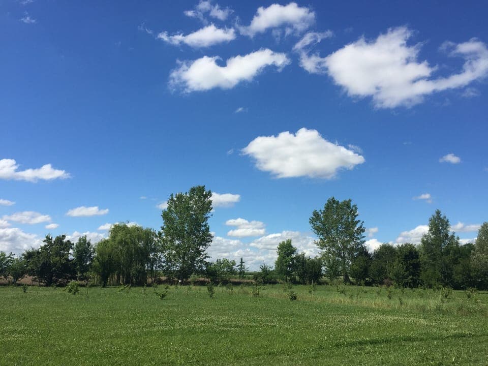 House | View from property