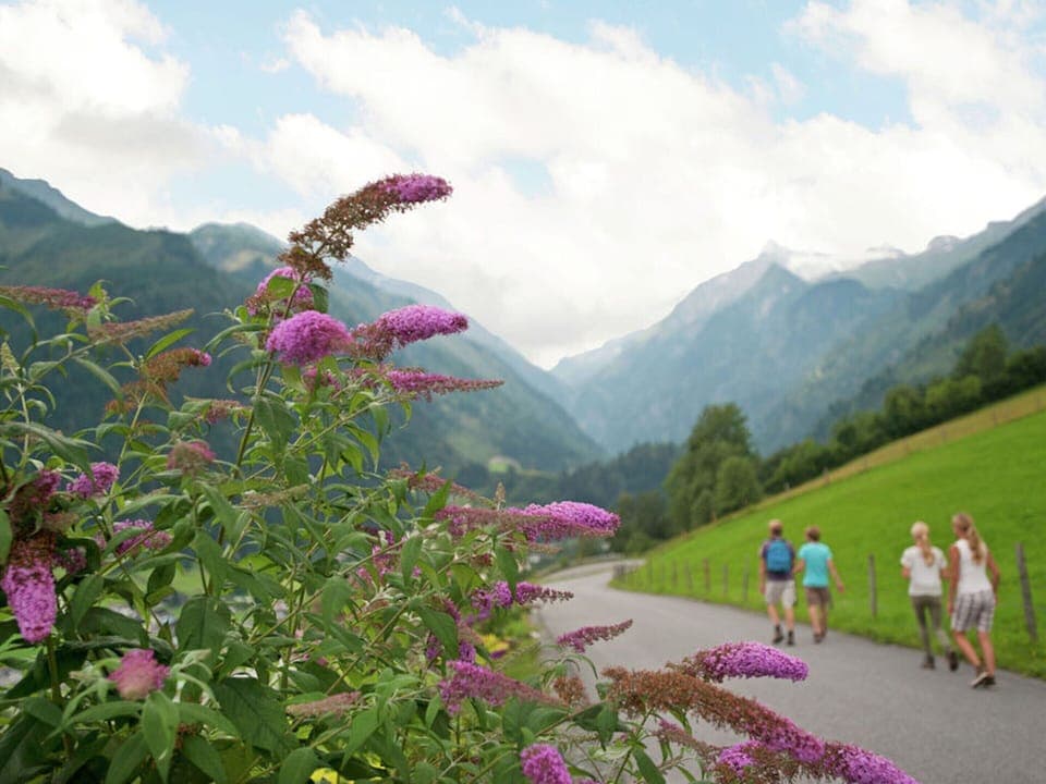 House | View from property