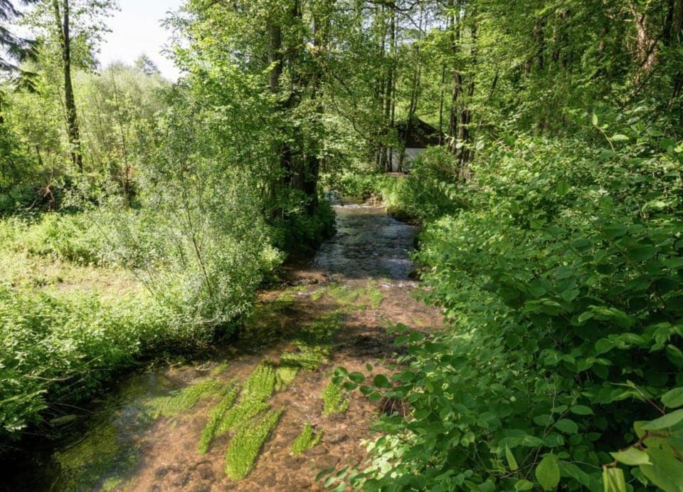 House | View from property