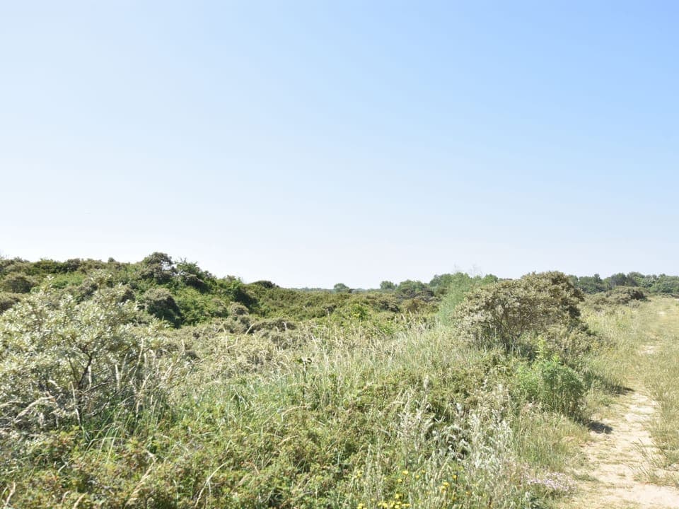 Apartment | View from property