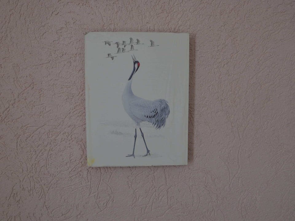 House | Interior detail