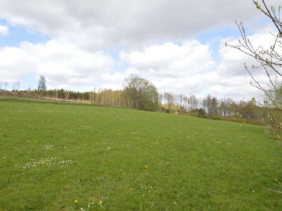 House | View from property