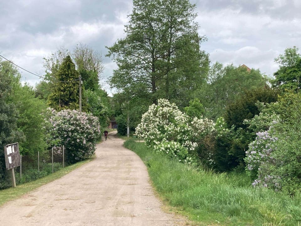 Apartment | View from property