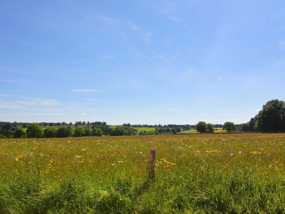 House | View from property