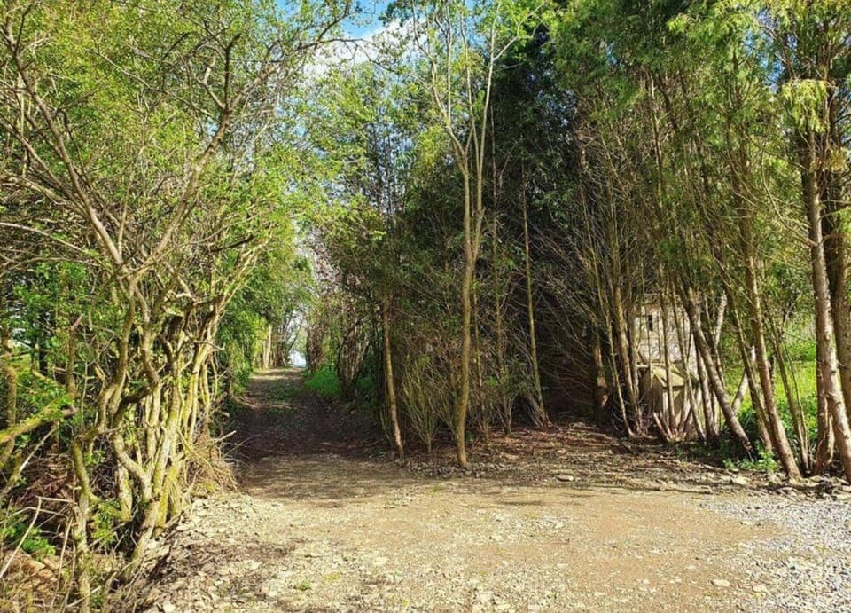 House | View from property