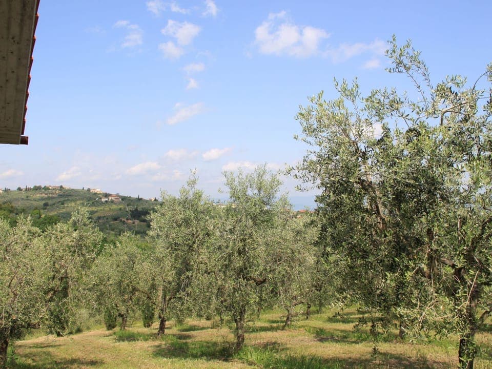 House | View from property