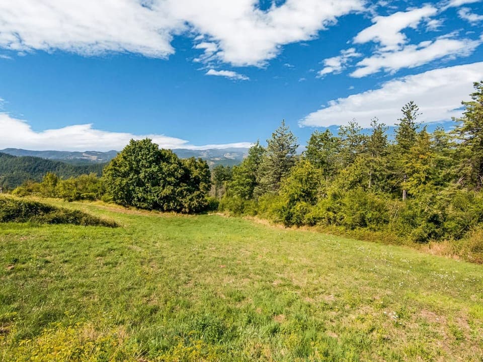 House | View from property