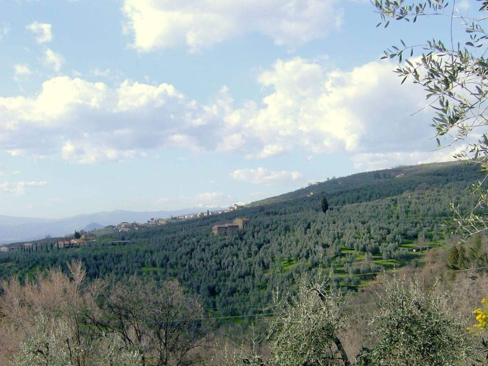 House | View from property