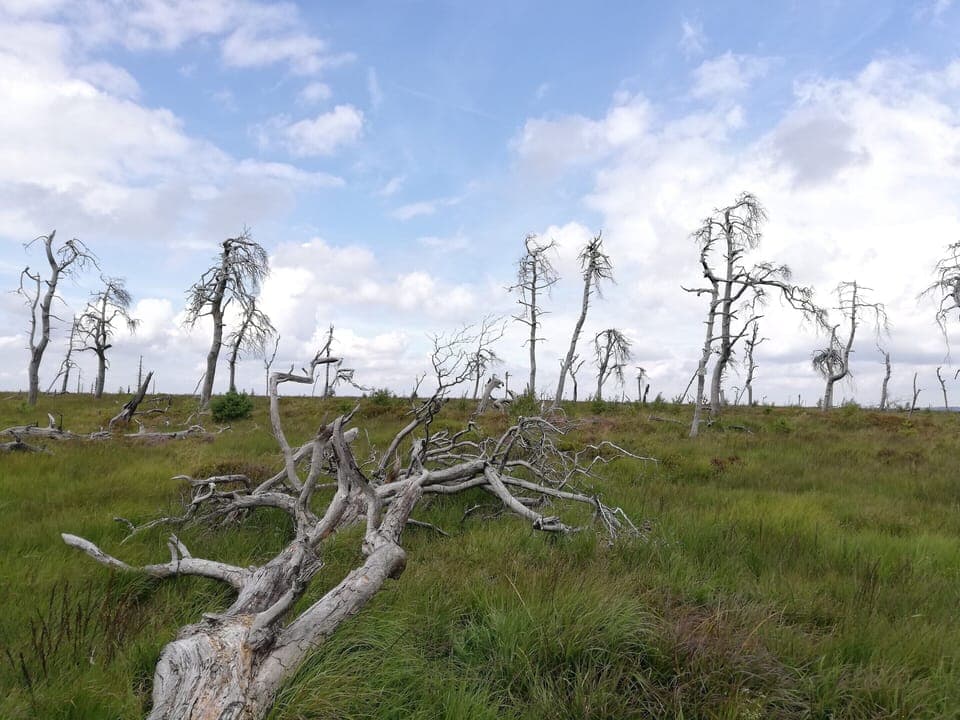 House | View from property