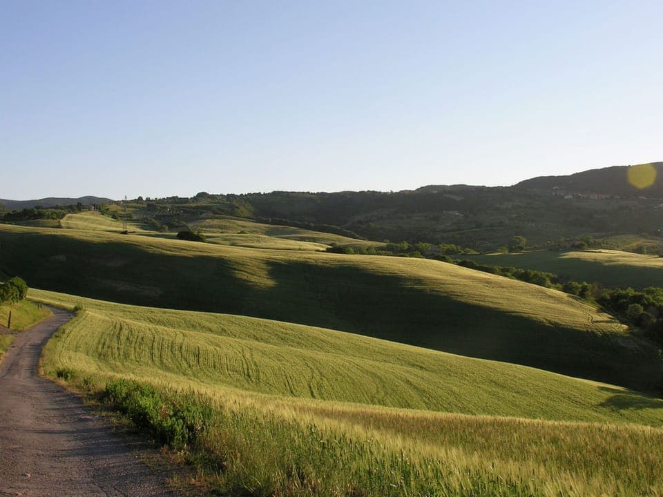 House | View from property