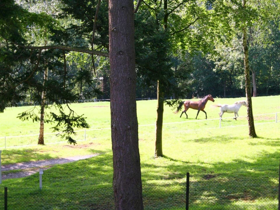 House | View from property