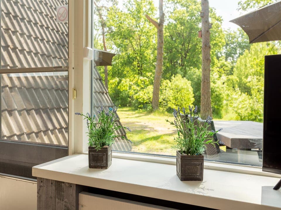 House | Interior detail