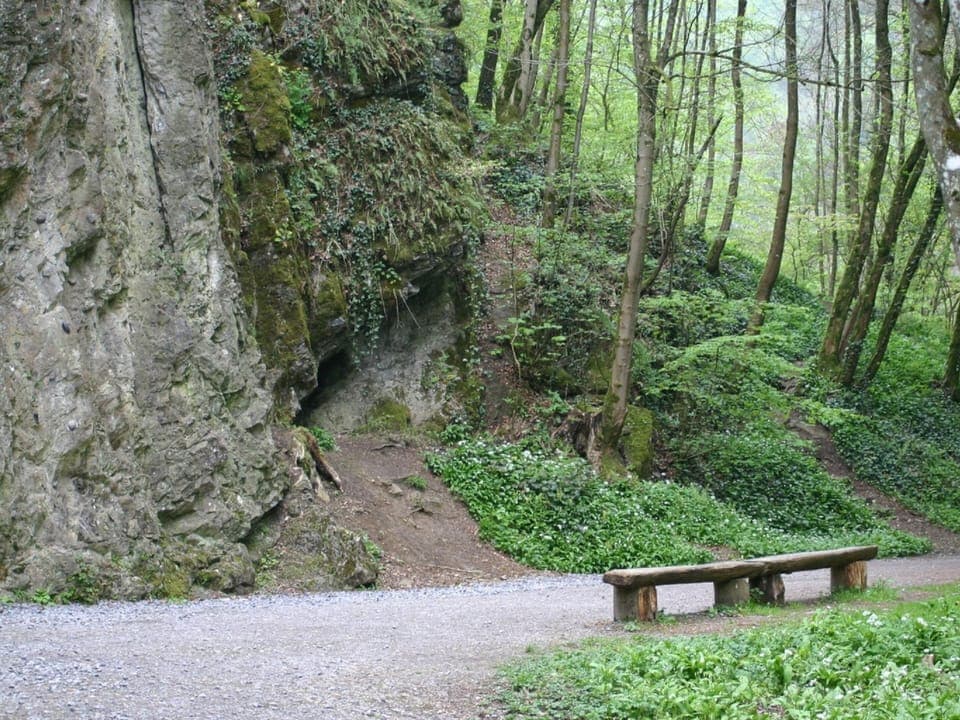 Chalet | View from property