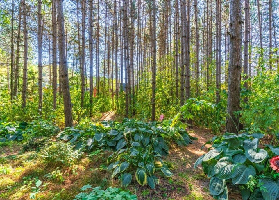 House | View from property