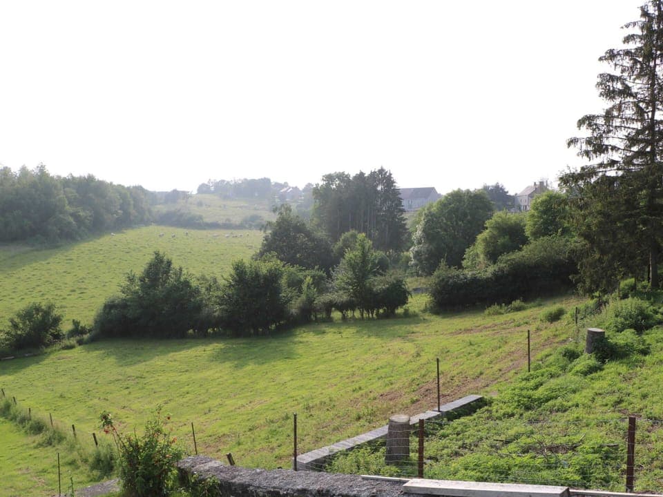 House | View from property