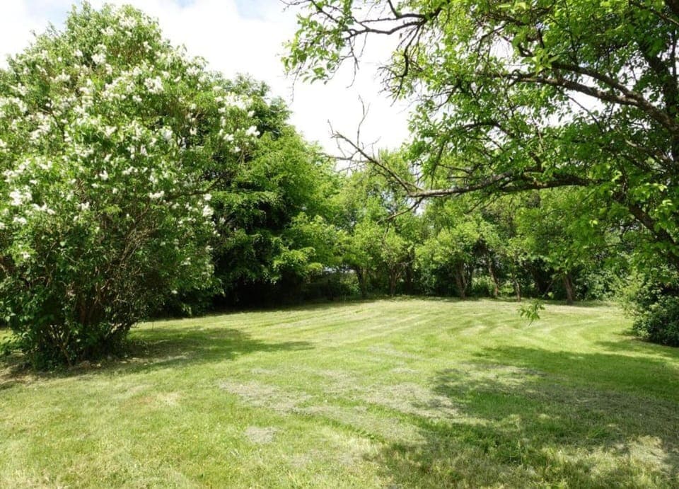 House | View from property