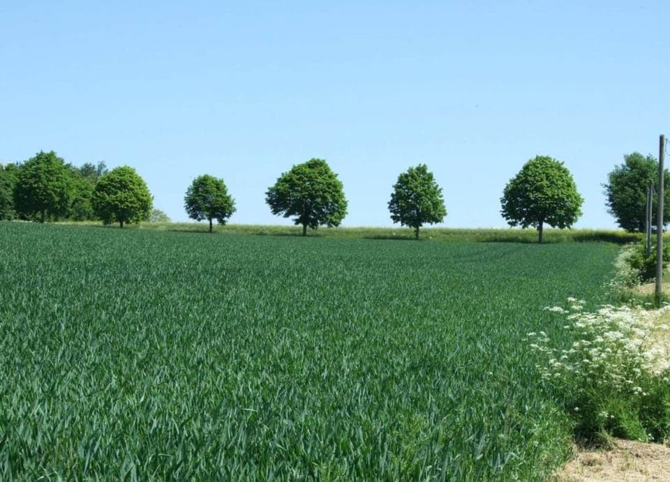 Apartment | View from property