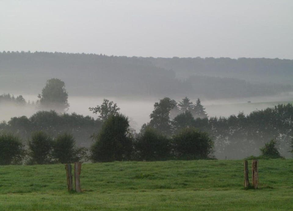 Cottage | View from property