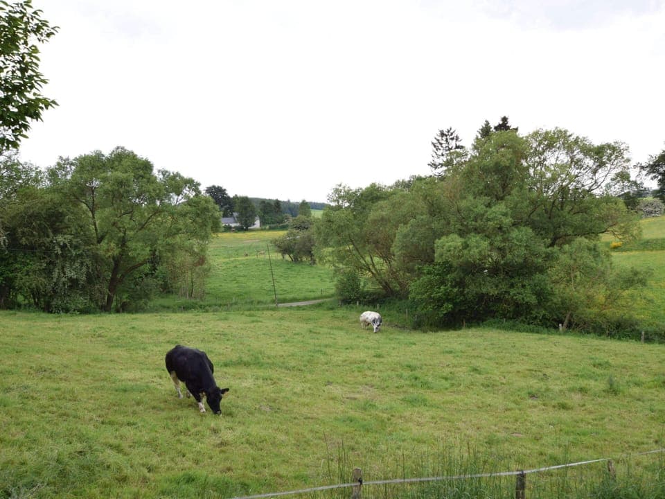 Cottage | View from property