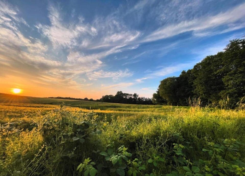 House | View from property