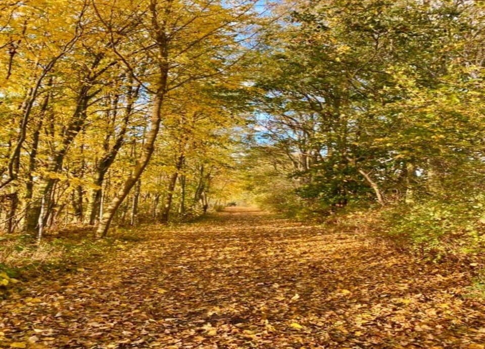 House | View from property