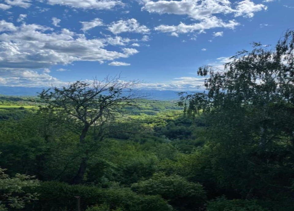 Apartment | View from property