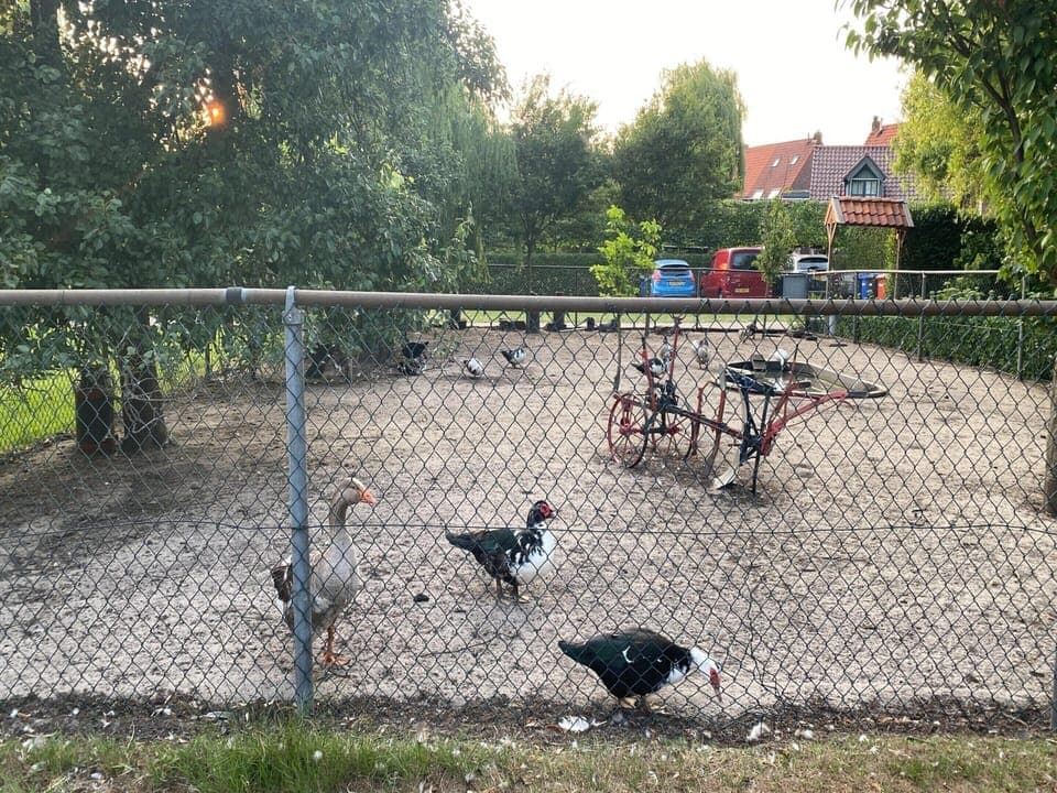 House | Miscellaneous