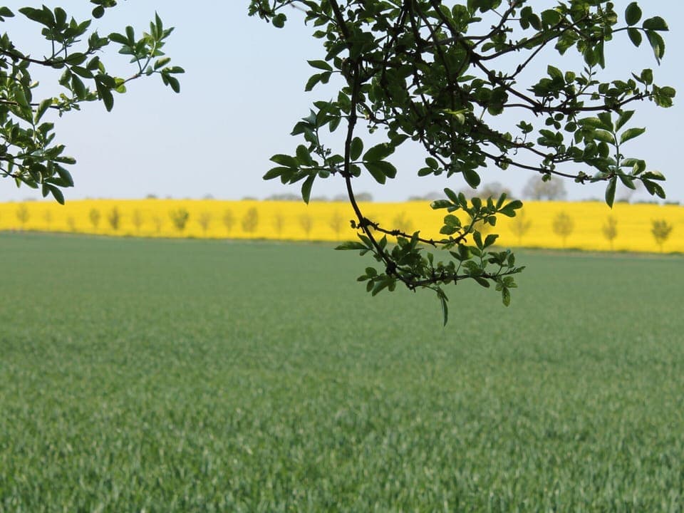 House | View from property