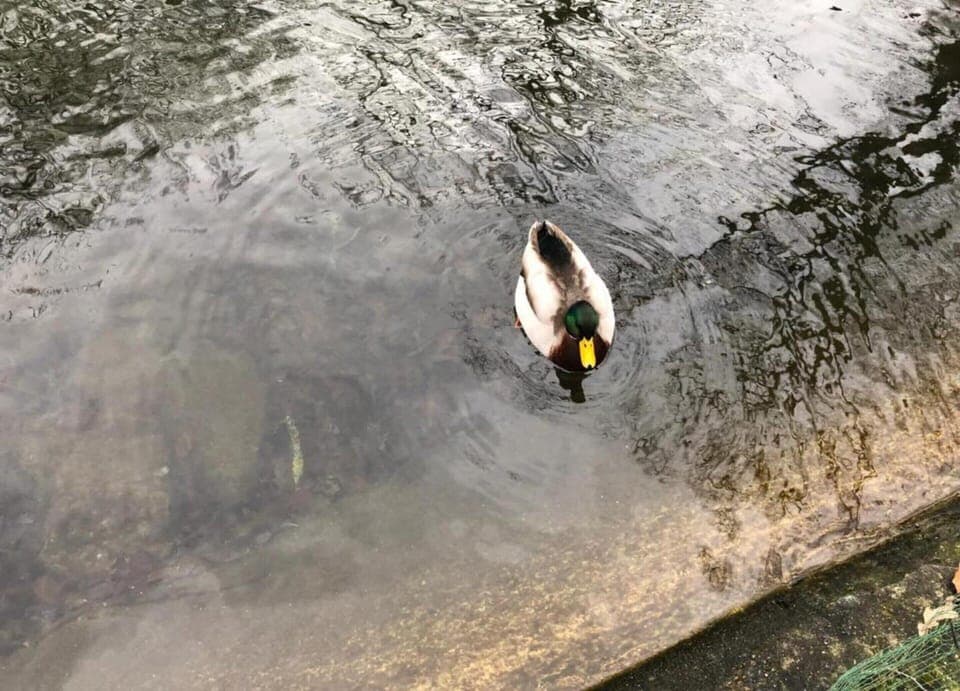 Chalet | View from property