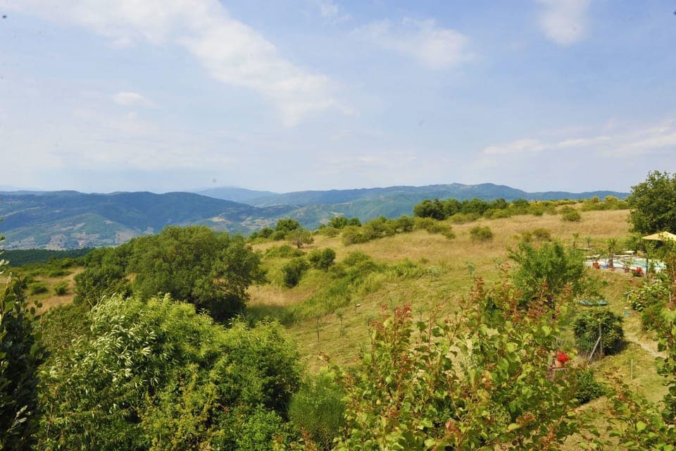 Sky, Cloud, Plant, Plant Community, Mountain, Natural Landscape, Land Lot, Tree, Grassland, Grass