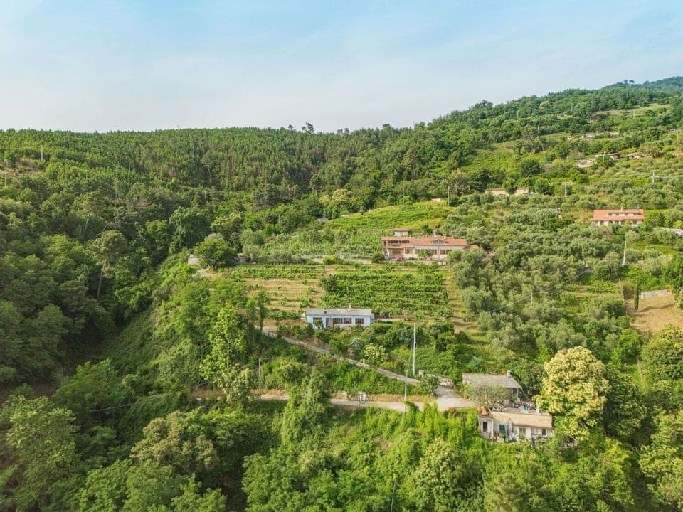 Sky, Plant Community, Plant, Natural Landscape, Cloud, Highland, Tree, Plain, Grassland, Meadow