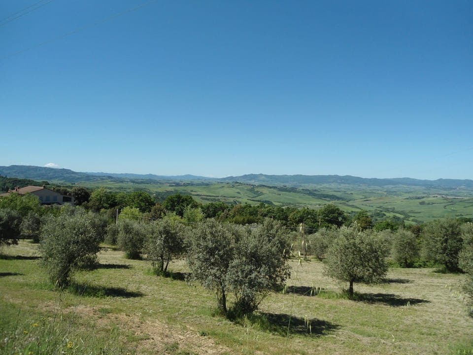 Nature, Vegetation, Natural Environment, Land Lot, Tree, Grassland, Sky, Natural Landscape, Property, Wilderness