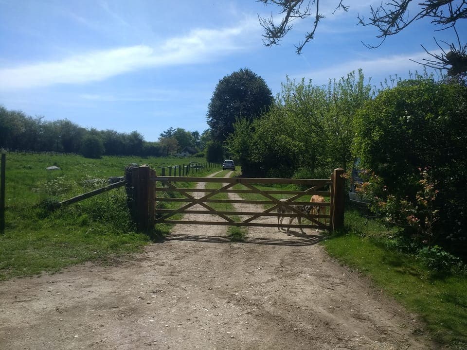 The gate to the property. 