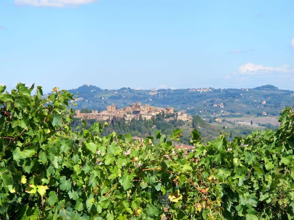 Furniture, Property, Ceiling Fan, Cabinetry, Table, Couch, Lighting, Picture Frame, Wood, Countertop