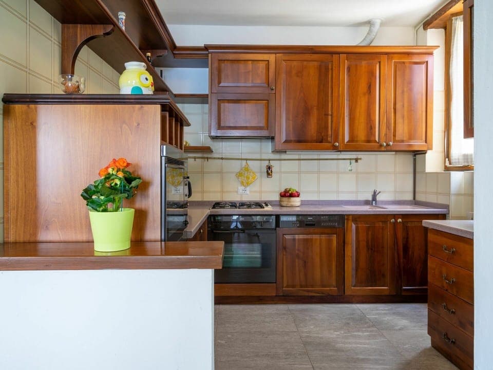 Countertop, Cabinetry, Property, Furniture, Building, Kitchen Sink, Kitchen, Plant, Kitchen Appliance, Wood