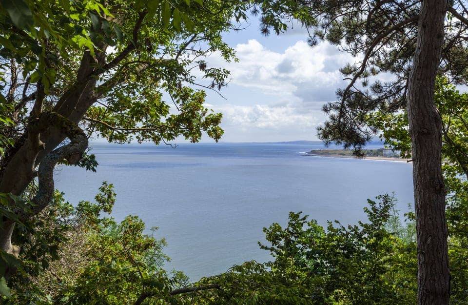 Luxury Cabin, Sea View | Beach/ocean view