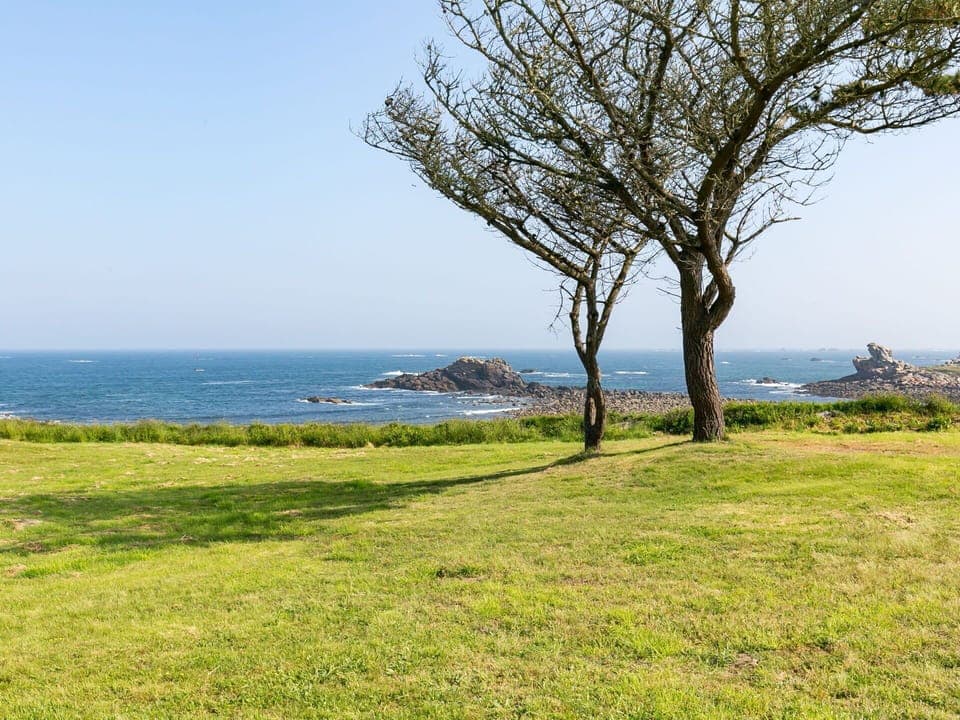 Sky, Plant, Water, Natural Landscape, Azure, Tree, Land Lot, Wood, Coastal And Oceanic Landforms, Grass