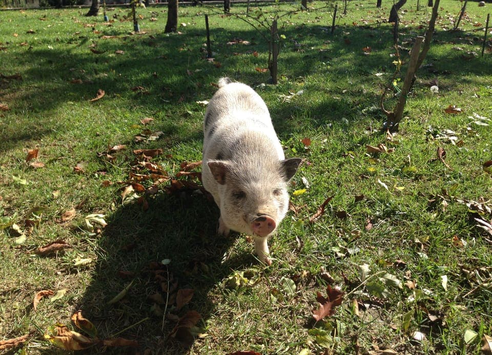 Villa, Multiple Bedrooms, Private Pool | Children's area