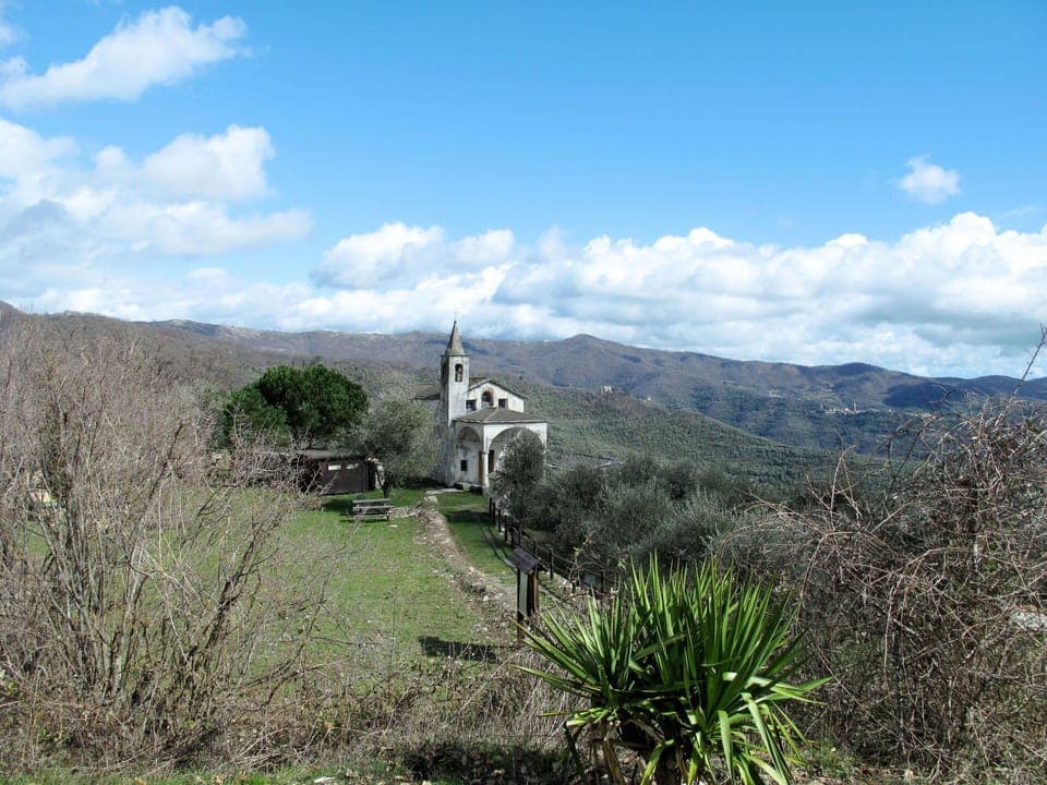 Water, Sky, Cloud, Water Resources, Azure, Tree, Natural Landscape, Beach, Coastal And Oceanic Landforms, Plant