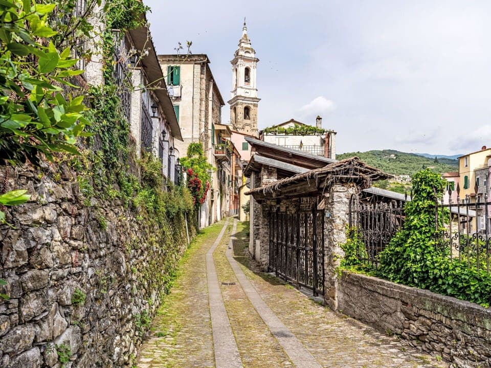 Plant, Sky, Building, Cloud, House, Wood, Window, Road Surface, Tree, Landscape