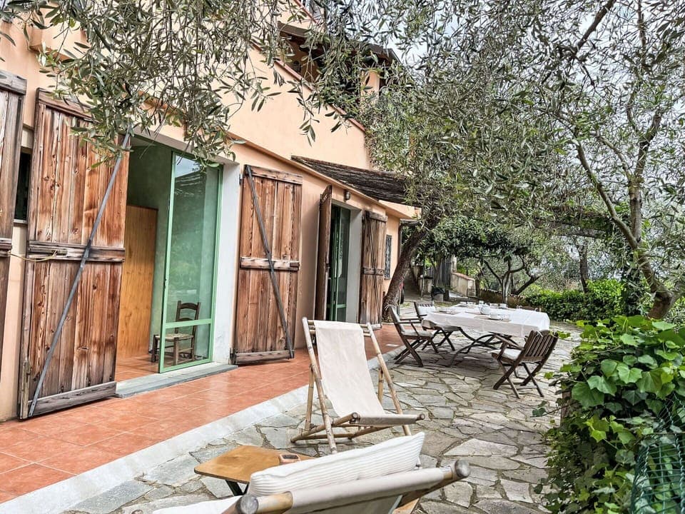 Plant, Property, Building, Tree, Wood, Door, Woody Plant, Landscape, Real Estate