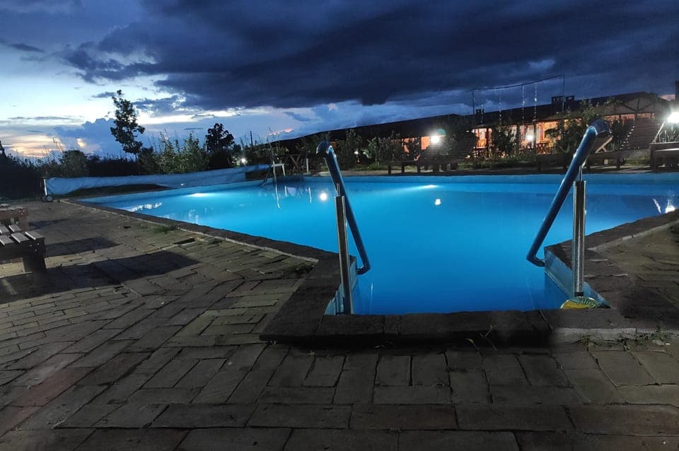 Seasonal outdoor pool, pool umbrellas, sun loungers