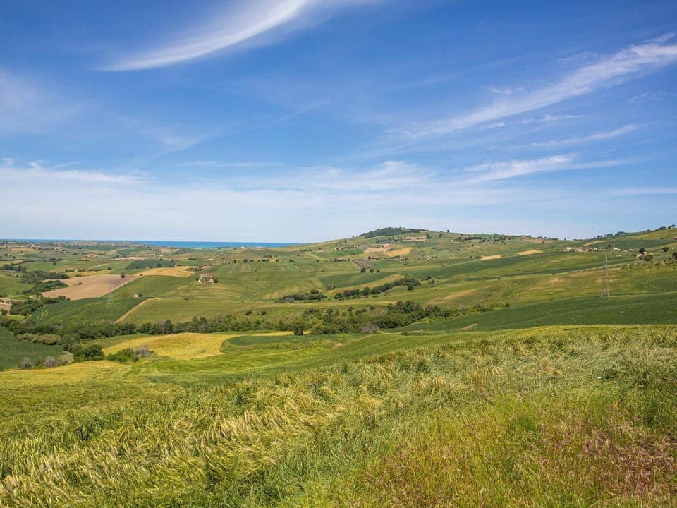 Cloud, Sky, Plant, Natural Landscape, Tree, Land Lot, Terrain, Agriculture, Grass, Cumulus