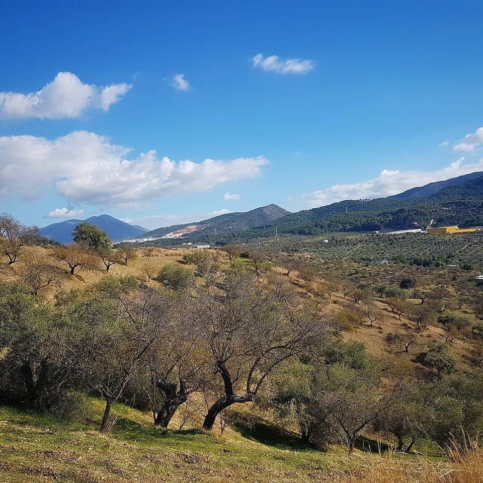 Surrounding by stunning views