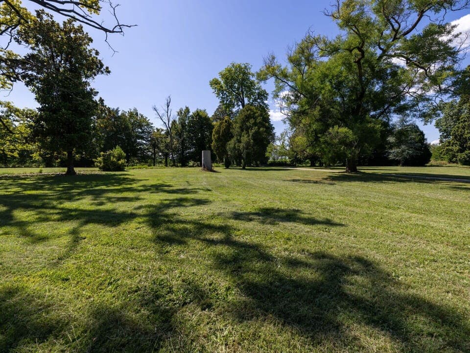 Tableware, Sky, Table, Property, Plant, Furniture, Building, Cloud, Dishware, Cup