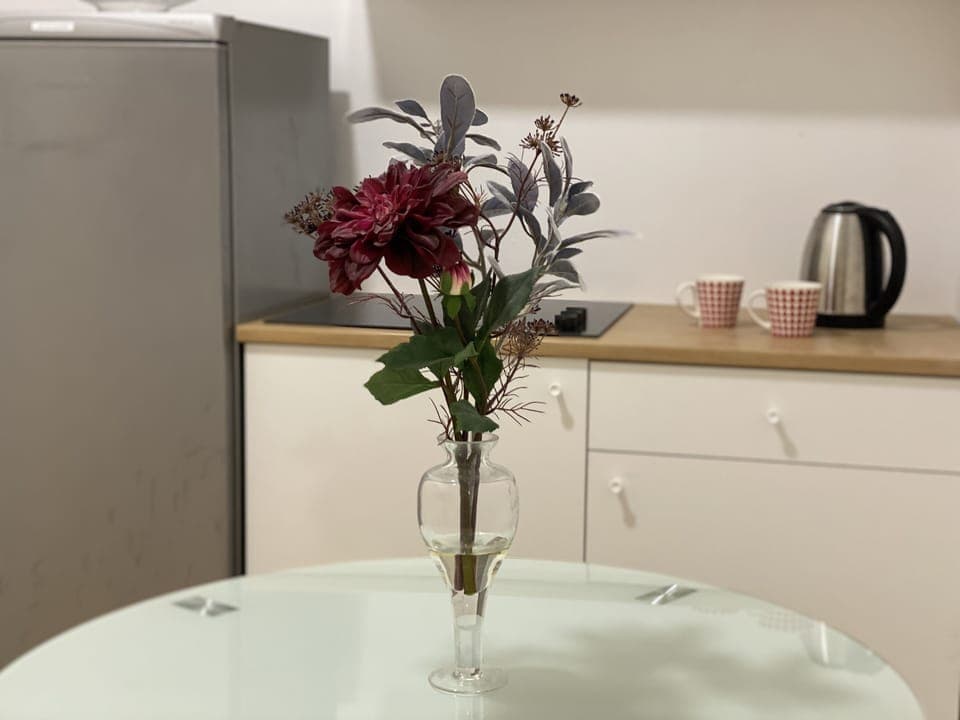 Standard Apartment | Private kitchen | Cookware/dishes/utensils, cleaning supplies